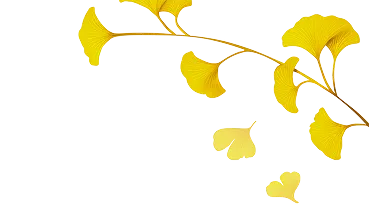 bough